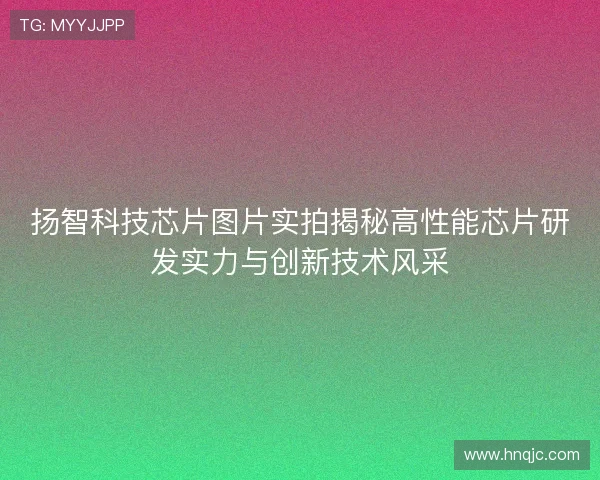 扬智科技芯片图片实拍揭秘高性能芯片研发实力与创新技术风采